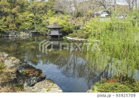 和歌山城 内堀と鳶魚閣 和歌山城 内堀と鳶魚閣 93925709