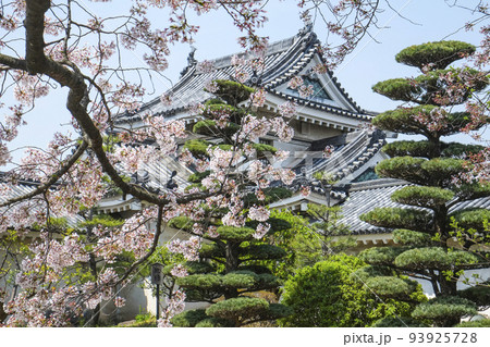 和歌山城　桜と乾櫓 93925728