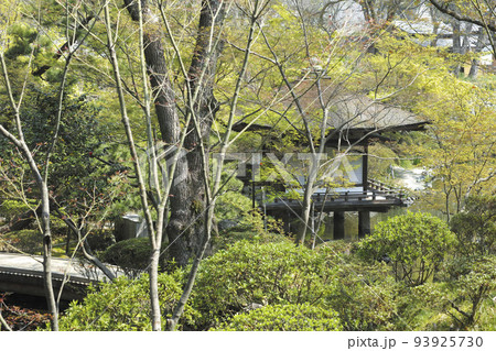 和歌山城 内堀と鳶魚閣 和歌山城 内堀と鳶魚閣 93925730