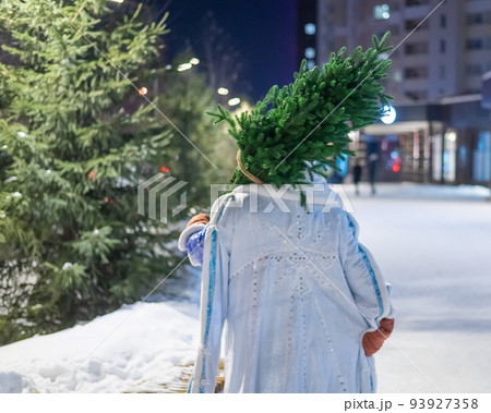 Russian santa claus carries a christmas tree outdoors. Russian santa claus carries a christmas tree outdoors. 93927358
