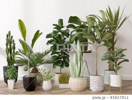 Home plants in pots standing on parquet floor at home. Plants lover concept, green interior details. Various potted plants. 3d rendering. Home plants in pots standing on parquet floor at home. Plants lover concept, green interior details. Various potted plants. 3d rendering. 93927911