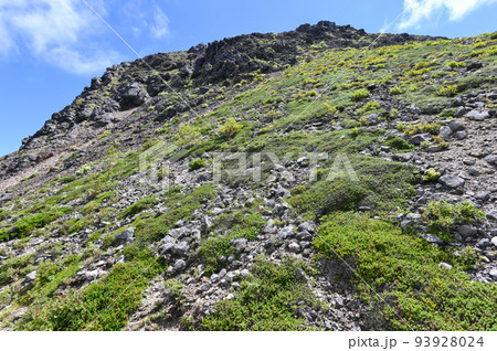 栃木県那須岳登山道わきの風景 栃木県那須岳登山道わきの風景 93928024