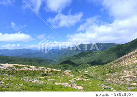 栃木県那須岳登山道わきの風景 栃木県那須岳登山道わきの風景 93928057
