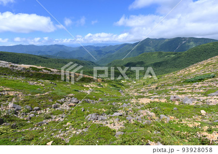 栃木県那須岳登山道わきの風景 栃木県那須岳登山道わきの風景 93928058