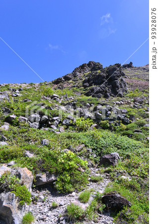 栃木県那須岳登山道わきの風景 栃木県那須岳登山道わきの風景 93928076