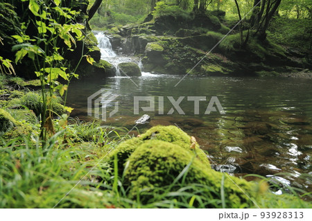 栃木県民の森　傾聴の滝 93928313