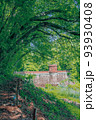 新緑の旧桂ヶ谷貯水池堰堤 93930408