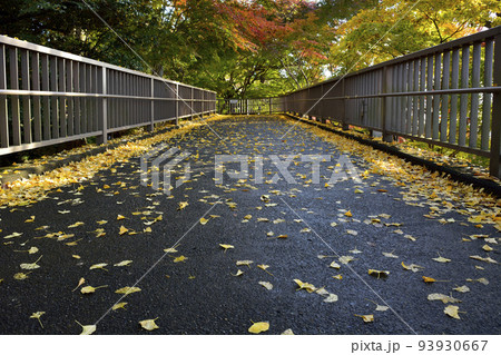茨城県水戸市の常盤神社 93930667
