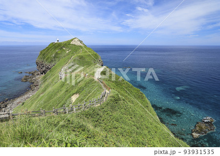 積丹ブルーの神威岬　北海道 93931535