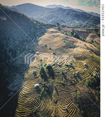Ban Pa Pong Piang Rice terraces or Baan Pa Pong Pieng in Doi Inthanon national park, Chiang Mai 93932401