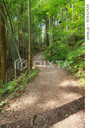 文殊山の登山道 文殊山の登山道 93932420