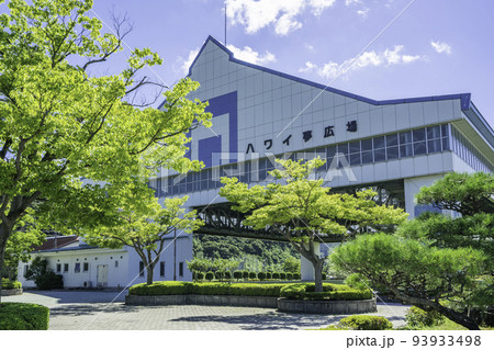 羽合温泉　東郷湖羽合臨海公園　ハワイ夢広場　鳥取県湯梨浜町 93933498