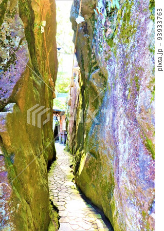 阿賀神社・太郎坊宮 阿賀神社・太郎坊宮 93933763