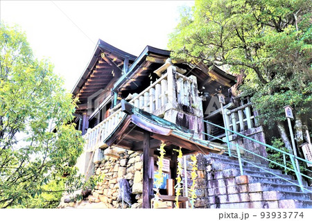 阿賀神社・太郎坊宮 阿賀神社・太郎坊宮 93933774