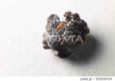 Kidney stone, intact, formed in an alkaline environment in the kidneys after ESWL intervention or surgery. Lithotripsy. Extreme macro photography. selective focus 93936434
