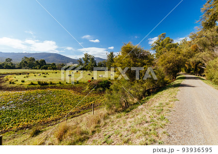 Lilydale to Warburton Rail Trail in Australia 93936595