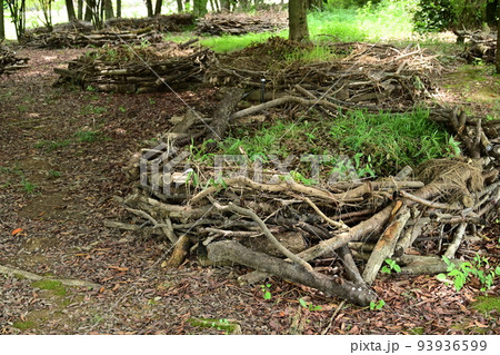 バイオネスト 堆肥置き場と自然の循環 バイオネスト 堆肥置き場と自然の循環 93936599