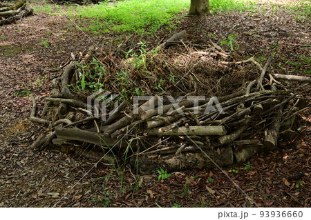 バイオネスト　堆肥置き場と自然の循環 93936660