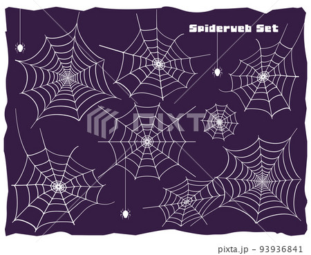 蜘蛛の巣 ベクターイラストのイラスト素材