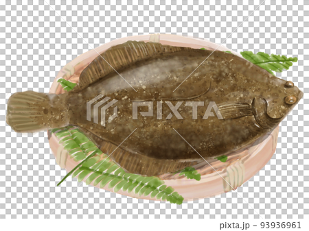 ザル盛りのカレイ01 93936961