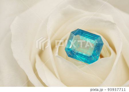 Blue Sapphire Gemstone on White Rose Petals 93937711