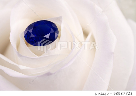 Blue Sapphire Gemstone on White Rose Petals Blue Sapphire Gemstone on White Rose Petals 93937723
