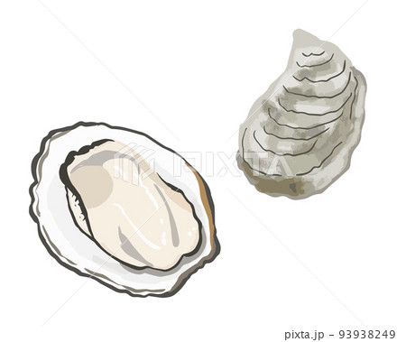 牡蠣イラスト素材 93938249