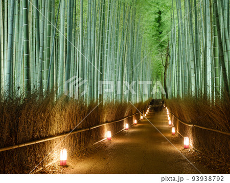 京都嵐山_嵐山花灯路の絶景 京都嵐山_嵐山花灯路の絶景 93938792