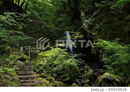 東京都青梅市　御岳山　9月の登山道　綾広の滝 93939926