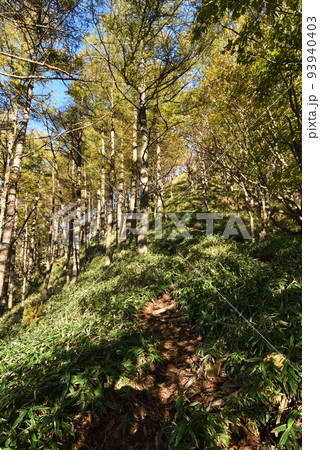 紅葉の日光、社山、中禅寺湖、男体山、栃木県 紅葉の日光、社山、中禅寺湖、男体山、栃木県 93940403