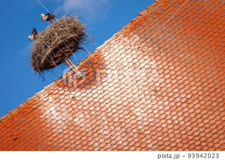 Stork nest in Colmar alsatian architecture at springtime, Eastern France Stork nest in Colmar alsatian architecture at springtime, Eastern France 93942023