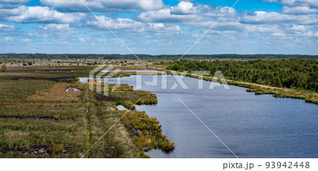 Tower view over the pond and swamp of the fen national park, Fochteloo 93942448