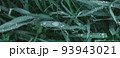 juicy lush green grass in meadow with drops water dew in morning light in spring summer outdoors Macro, panorama. A beautiful artistic image of purity and freshness nature, copy space. photo banner 93943021