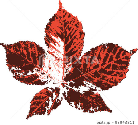 Horse chestnut leaf stamp. Imprint of fallen leaves. Autumn pattern. 93943811