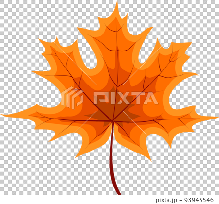 Autumn Orange Fallen Leaves 93945546