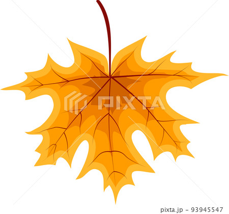 Autumn Orange Fallen Leaves 93945547