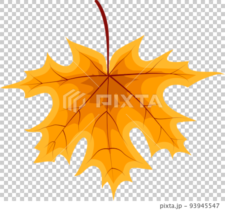 Autumn Orange Fallen Leaves 93945547