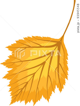 Autumn Orange Fallen Leaves 93945548
