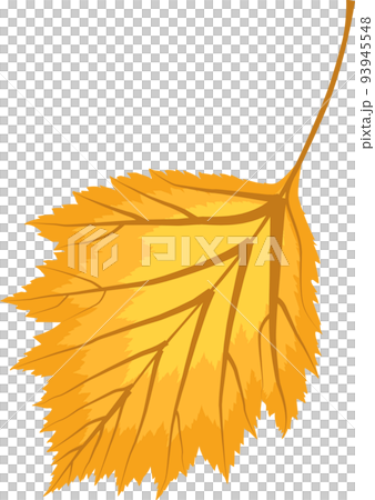 Autumn Orange Fallen Leaves 93945548