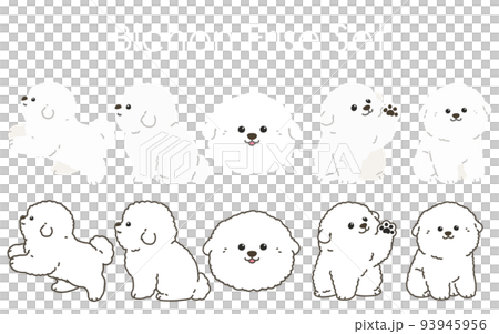 Simple and cute Bichon Frize illustration set with/without main line Simple and cute Bichon Frize illustration set with/without main line 93945956