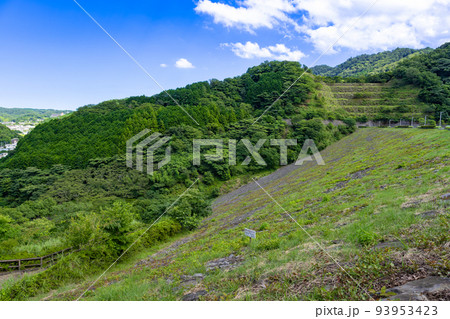 静岡県伊東市　松川湖　奥野ダム　公園 93953423