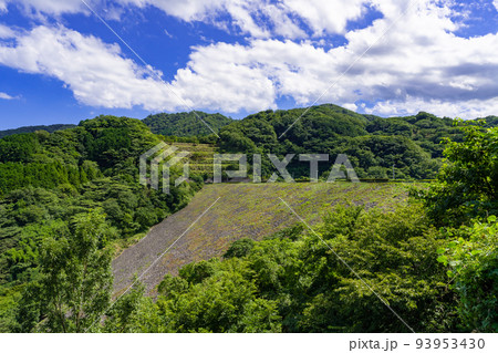 静岡県伊東市　松川湖　奥野ダム　公園 93953430