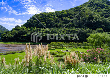 静岡県伊東市 松川湖 奥野ダム 公園 静岡県伊東市 松川湖 奥野ダム 公園 93953433