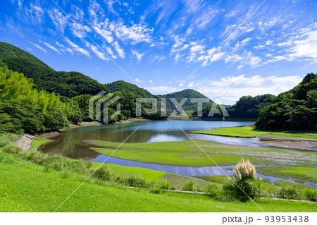 静岡県伊東市　松川湖　奥野ダム　公園 93953438
