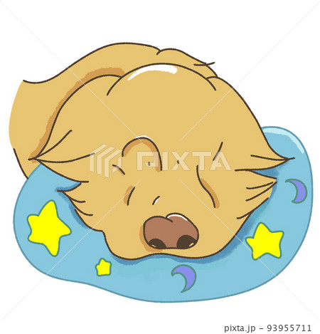 まくらに顎をのせる犬 93955711