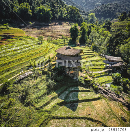 Giant Bamboo Hut in Doi Inthanon national park in Chiang Mai, Thailand 93955763