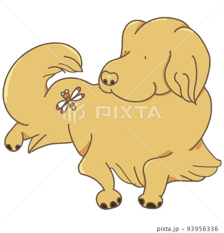 犬にとまるトンボ 93956336