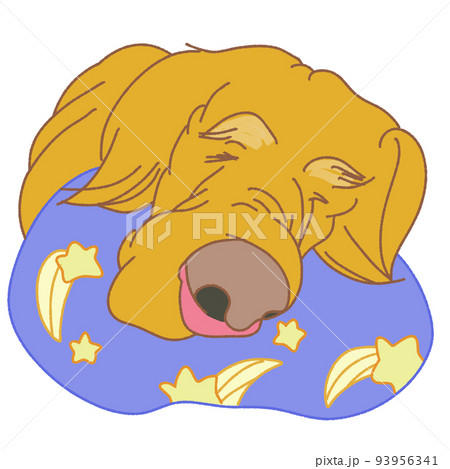 枕にあごをのせて眠る犬 93956341