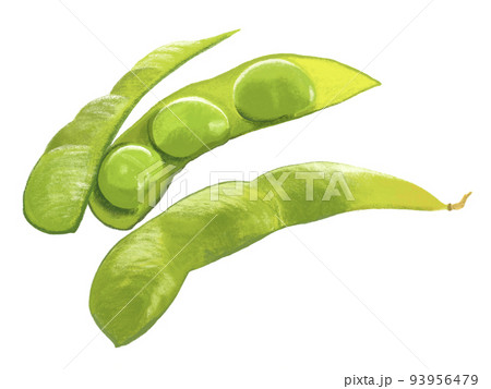 えだまめ 93956479