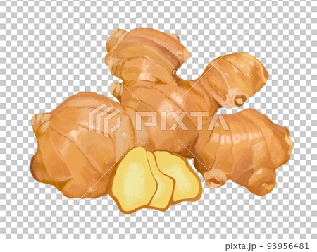Ginger 93956481
